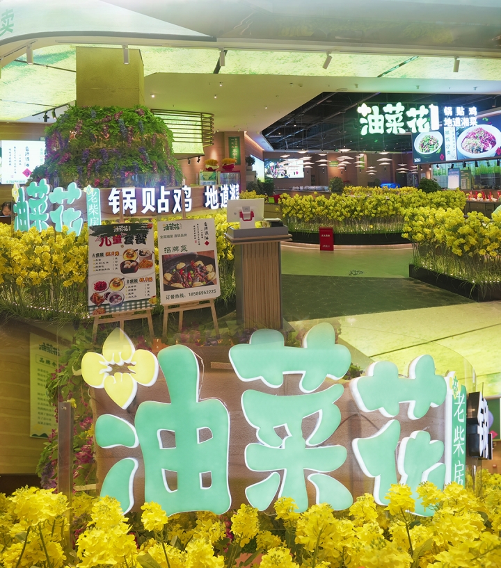 贵阳油菜花旁老柴房